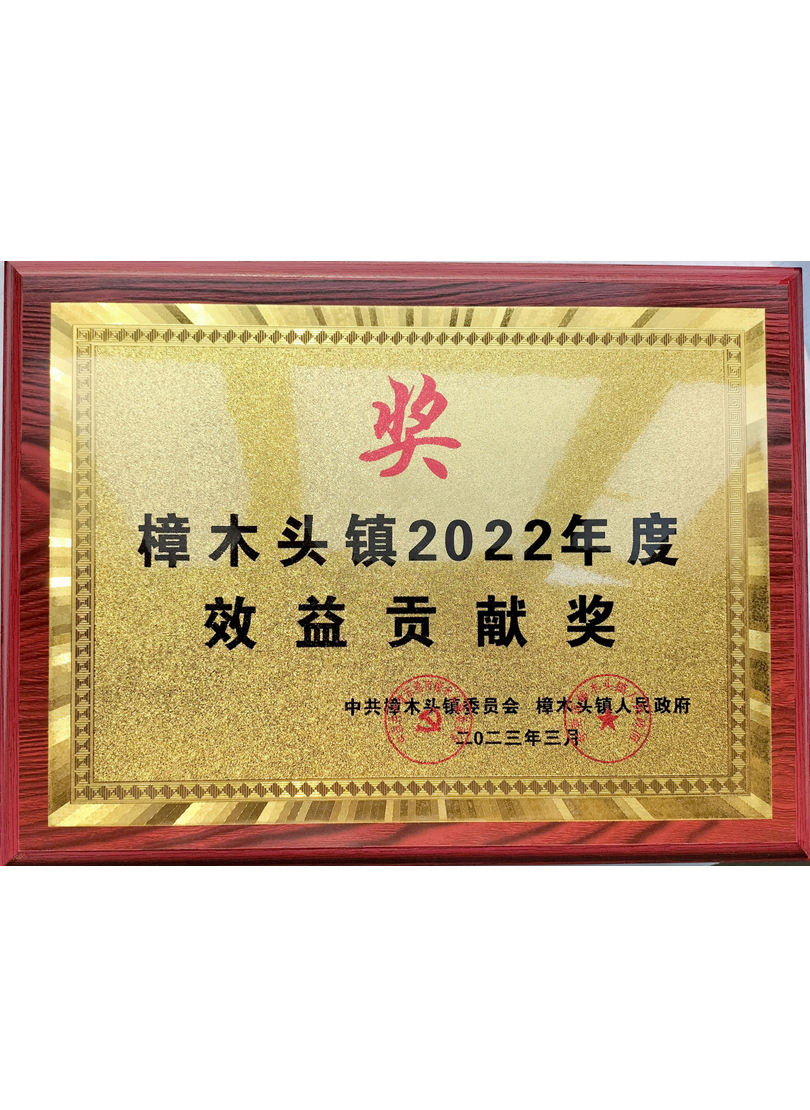 2022年度效益貢獻(xiàn)獎(jiǎng)